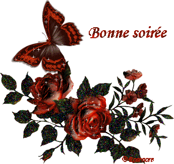 bonne soirée