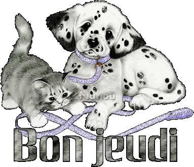 pour tous les blogueurs et blogueuses