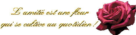 pour vous