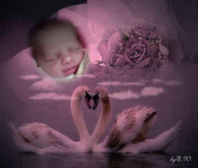 bonne nuit à vous tous et 