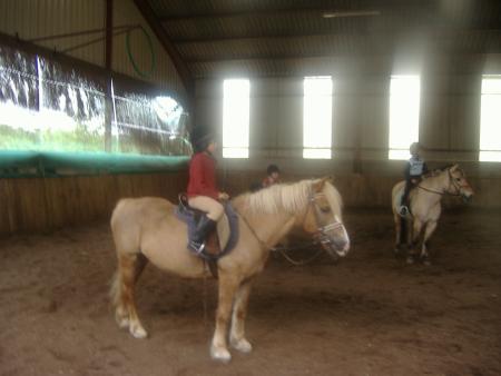 du poney à chateauvillain  vous les voyez tous les deux