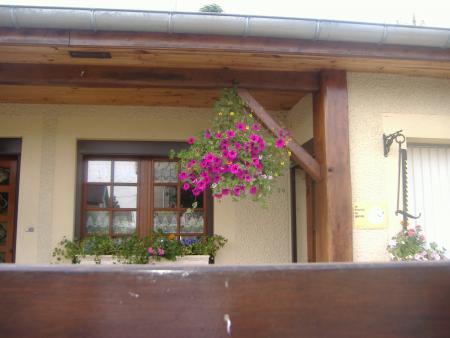 Une maison fleurie