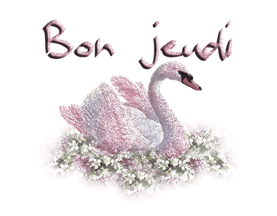 POUR TOUT LE MONDE