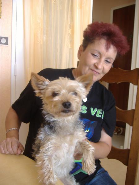 même le chien est de la partie